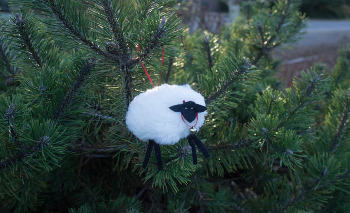 Wooly Lamb Christmas Ornament by Sew Maris